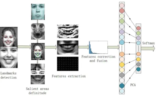 Figure 1. Framework of the proposed algorithm.