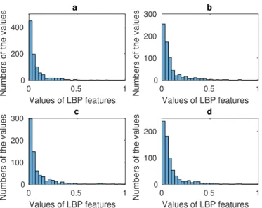Figure 7. (a) Display model of mouth’s LBP features.(b) Display model of left cheek’s LBP features.(c) Display model of forehead’s LBP features