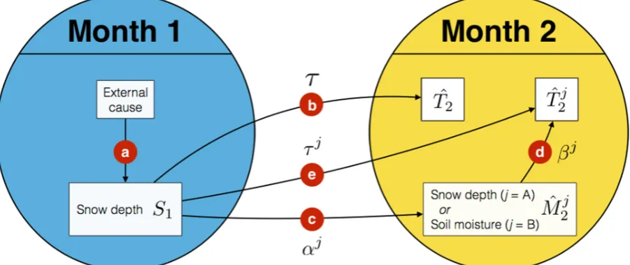 Fig. 1. A schematic diagram illustrating the pathways for temperature predictability from snow depth