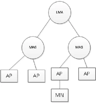 Figure 3 PMIPv6 Components 