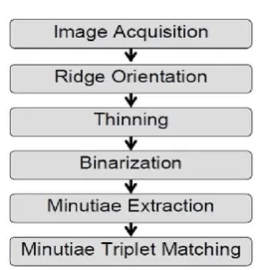 Figure 4 : Steps of fingerprint recognition 