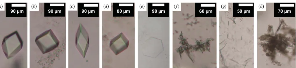 Figure 8In mesocrystallization conditions are 4–6%( crystallization of single-Cys mutants of DgkA: (a) CM41, (b) CM42, (c) CM43, (d, e) CM62, (f) CM47, (g) CM102, (h) CM105
