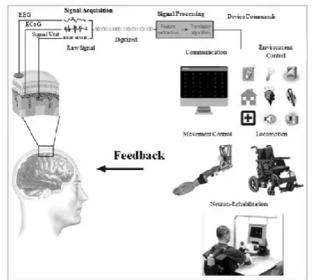 Figure 1: BCI Components 