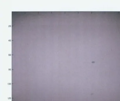 Figure 8: A plain white scaled raw image from Nikon D50 camera. 
