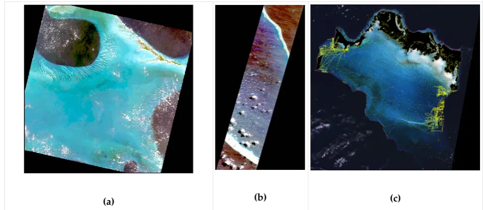 Figure 2. Three images used to prepare the illustrations.  Bahamas; (a) LANDSAT-8 over Lee Stocking island, (b) HYPERION over Fakarava atoll, French Polynesia; (c) LANDSAT-8 over Caicos Bank, Bahamas: yellow points show  the scatter of depth sounding point