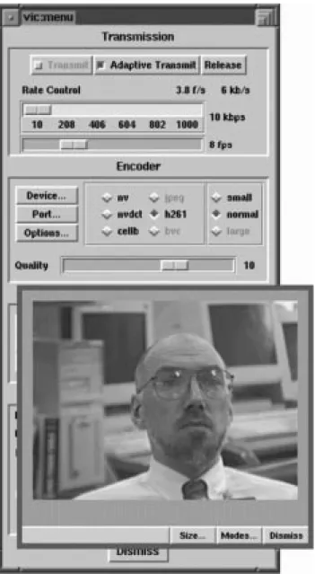 Fig. 4.  Adaptive video application. 