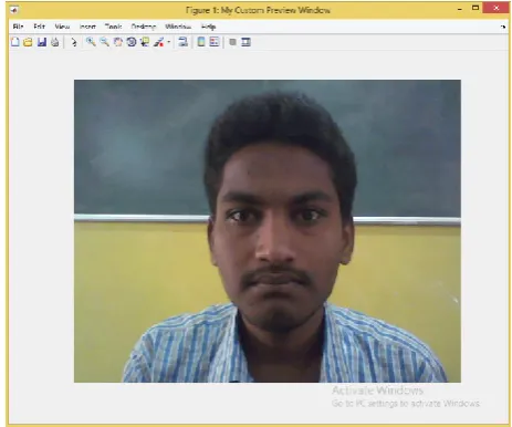 Figure 1. preview of image input 