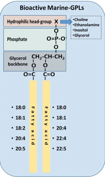 Figure 2: Structures of bioactive marine phospholipids as elucidated previously by Sioriki et al