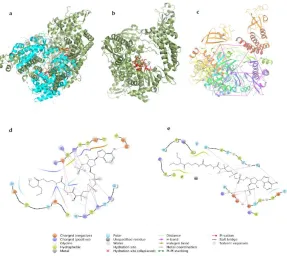 Figure 2: a) Super-imposed structure of Dengue-nsP5 (cyan) and CoV-nsP12 (green), b) Location of catalytic sites (includes motif A, B, and C) in CoV-nsp12, c) Grid generation for virtual docking inside the CoV-nsP12, d) Interacting residues in DBMET01015-C
