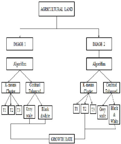 Figure 3. Feeding image dataset 