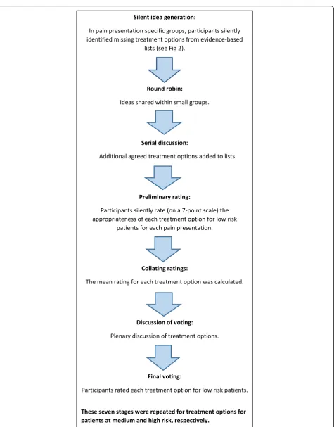 Fig. 1 Stages of Nominal Group Technique (NGT): Outline of the stages followed in each of the three consensus group meetings