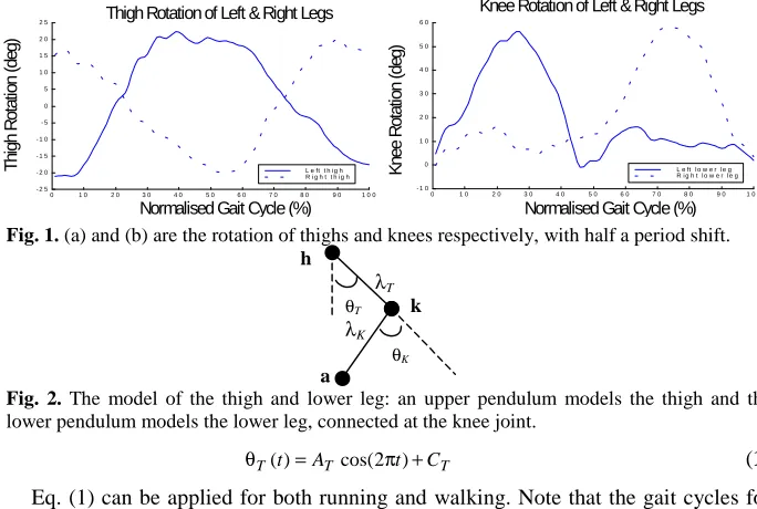 Fig. 1. (a) and (b) are the rotation of thighs and knees respectively, with half a period shift