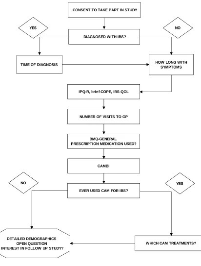 Figure 3.1 Flow chart of participant route through the study web pages 