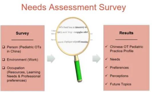 Figure 3.1 Needs Assessment Survey WFOT Five Competency Area Lens 