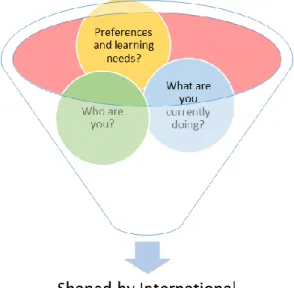 Figure 3.2 Intrinsic Factors Shaped by International Organizational Influences 