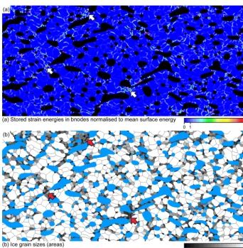 Figure 5. Details of results of simulation F20 at 53 % vertical shortening. (a) Boundary nodes colour-coded according to the proportion ofstrain-induced boundary migration