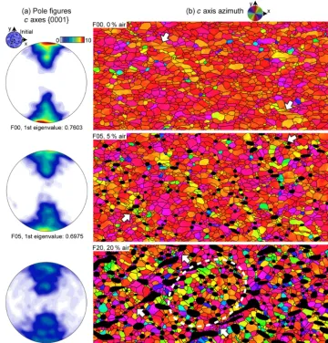 Figure 7. Overview ofindicate zones of marked strain localization. Dotted white line indicates zone of low strain where more random crystallographic orientations c axis orientations at 53 % vertical shortening for all simulations