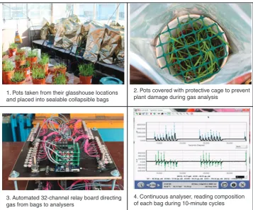 Fig. 1.Set-up of the pot gas analysis system.