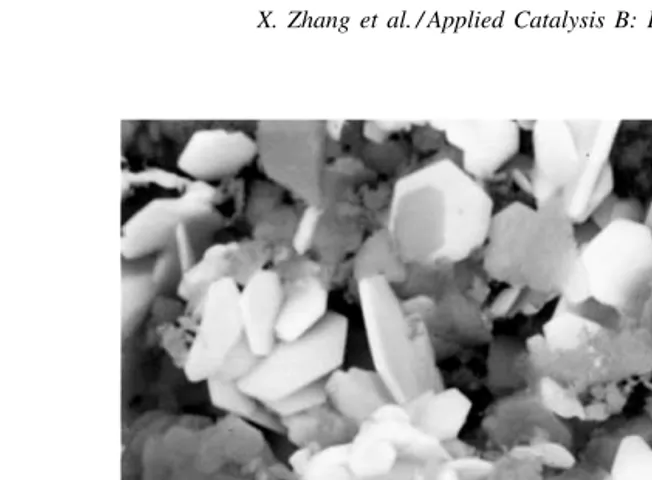 Fig. 1. Scanning electron micrographs of catalysts after reaction under microwave conditions up to 800◦C.