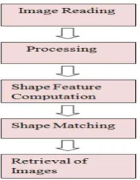 Figure  3. Images  with different background.(a) 