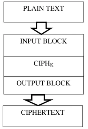 Figure 1: Encryption process  in the ECB mode 