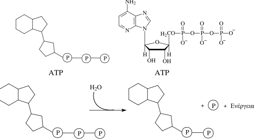Figure 2. Proposed simple representations of the ATP molecule (above) and the phosphorylation process (botton)