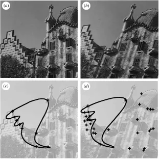 Figure 6. Example of forms under a geometrical transformation: (a) and (b), scene fromdi®erent viewpoints; (c) curve z(j); (d) curve de¯ned by max HT(Ui) in equation (2.7).