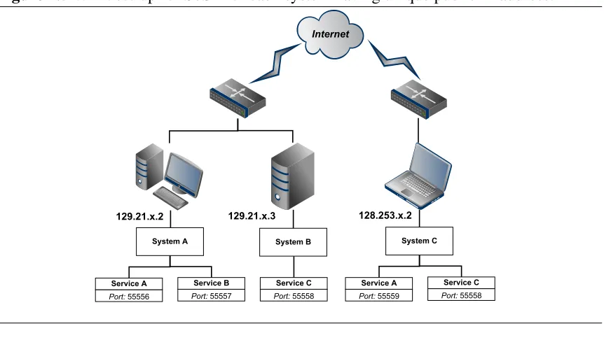 Figure 2.6 LAN set-up for SoS where some systems share a common private IP address.