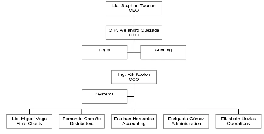 Figure 1.4 - Organizational Chart PPM  Since the CEO and the CFO are working almost fulltime on a project, we report directly to the Chief 