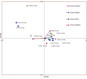 Figure 6: Canonical correspondence analysis (CCA) indicating the relationship between 