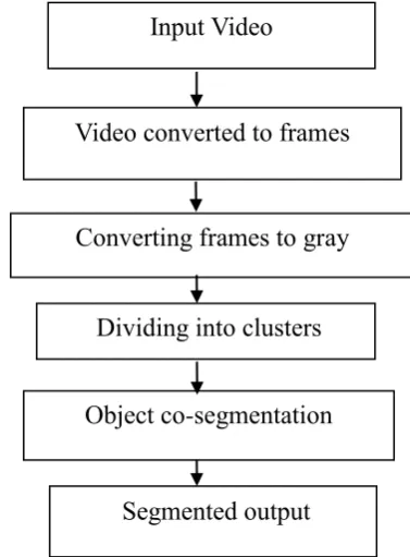 Figure 1 : Input Video 