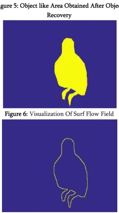 Figure 6: Visualization Of Surf Flow Field 