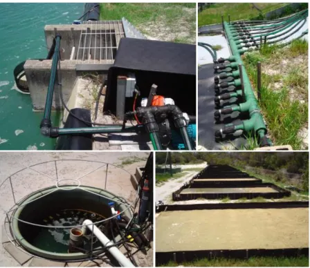 Figure 2  Construction of the PASF recirculation system at BIRC showing one of the pond water supply pumps (top left), the pond water mixing manifold (top right), the filtered-water collection sump (bottom left) and the completed PASF beds (bottom right)