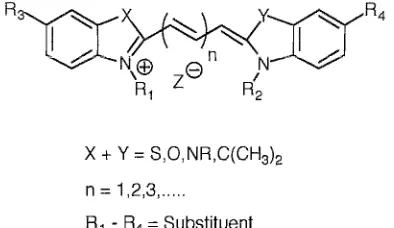 Figure 1.13 - Generic structure of a cyanine dye 