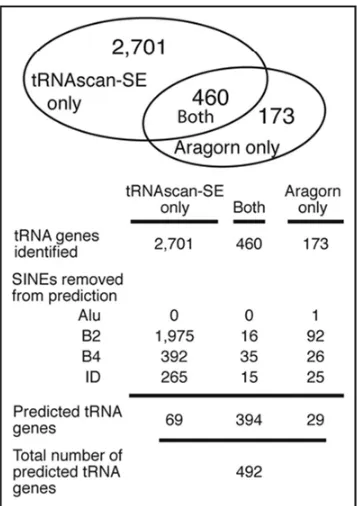 Figure 1.Different tRNAs and SINEs are identified by both scanning programs. tRNAscan-SE and
