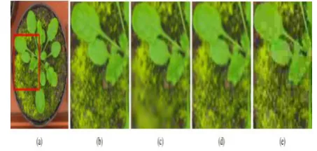 Figure 1. (a) Original image and (b) a detail, 