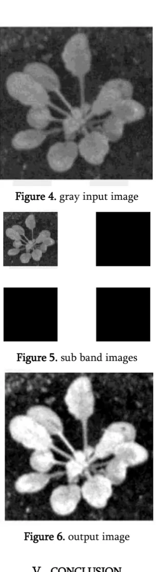 Figure 6. output image 