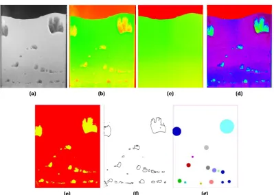 Figure 3.1: (a) An example of an original grayscale input image, (b) the representation of theimage by the program after normalization (c) detection of the local average, (d) theoriginal image corrected for inhomogeneous illumination (e) the binary frame result-ing from phase segmentation, (f) edge detection to obtain the circumference of abubble (g) representation of the equivalent bubble diameter as circles