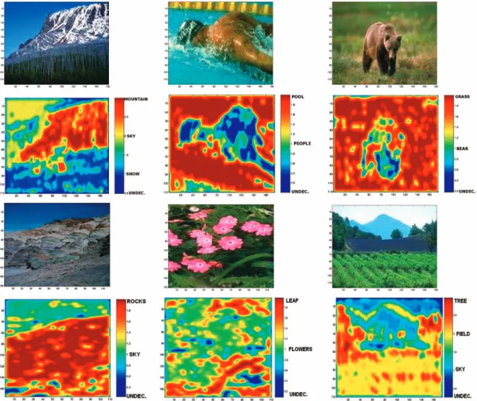 Fig. 6. Original images (top row) and posterior assignments (bottom row) for each image neighborhood (Undecided means that no class has a posterior bigger than  in (11).).