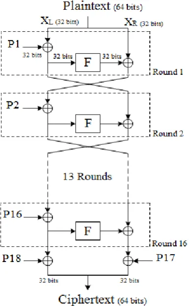 Figure 10. Function F 