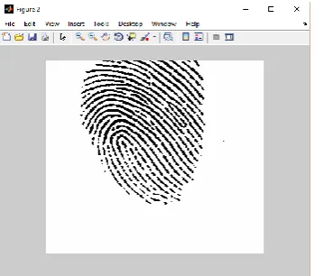 Fig 13 Show the Minutiae finding of Test image 2  with Fuzzy. 