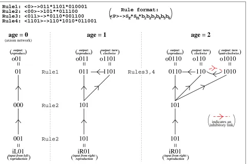 Figure 5: Example neural network development.