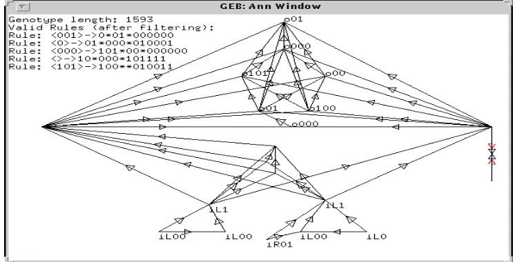 Figure 7: A dominant organism’s neural network.
