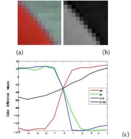 Figure 2. (a) A cropped and zoomed full color patch; 