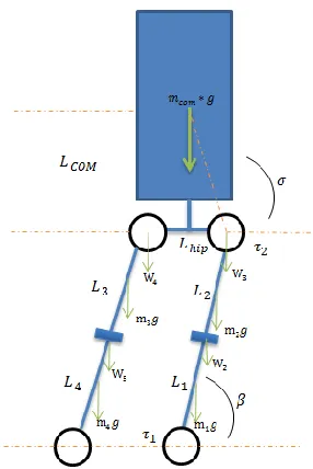 Figure 2.2. Coronal Plane of Humanoid 
