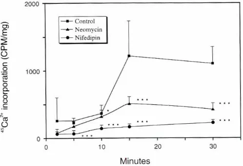 Fig. 2. Rate of incorporationof calciumintotherat incisordentinmineralphase.The time it takes after an i.v
