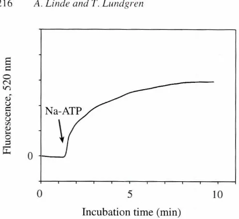 Fig.4.UptakeofCa2+ ions withtimeinmicrosomalfractionofdissectedrat incisorodontoblasts.Additionof A TP stronglyincreasedthe rate of uptake