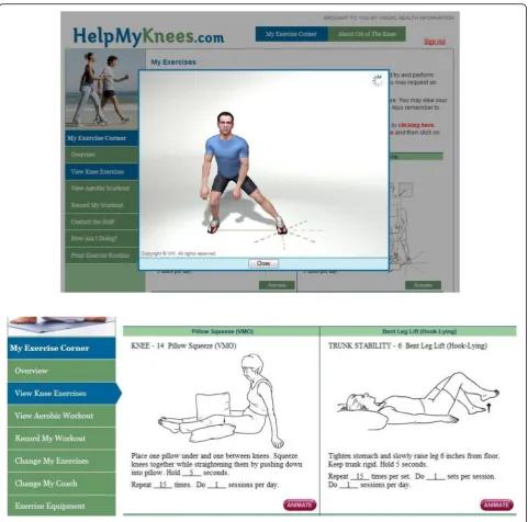 Fig. 2 Sample Screen Shots from the Internet-Based Exercise Training Program (Used with permission from Visual Health Information (VHI)