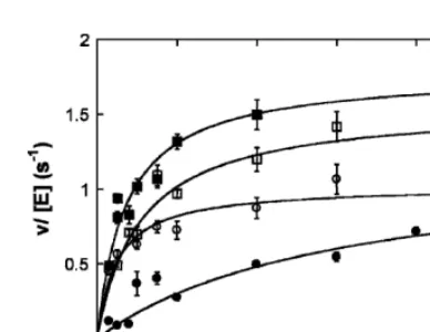 TABLE 3.Steady-state kinetic parameters for the S. cerevisiae RNase P holoenzyme with wild-type or mutant Pop1p protein