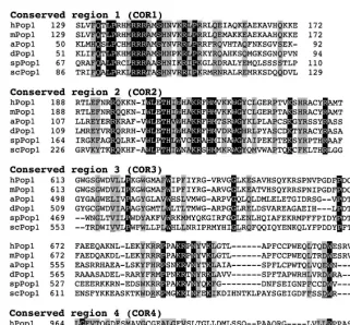 Table 1. Two conserved amino acids